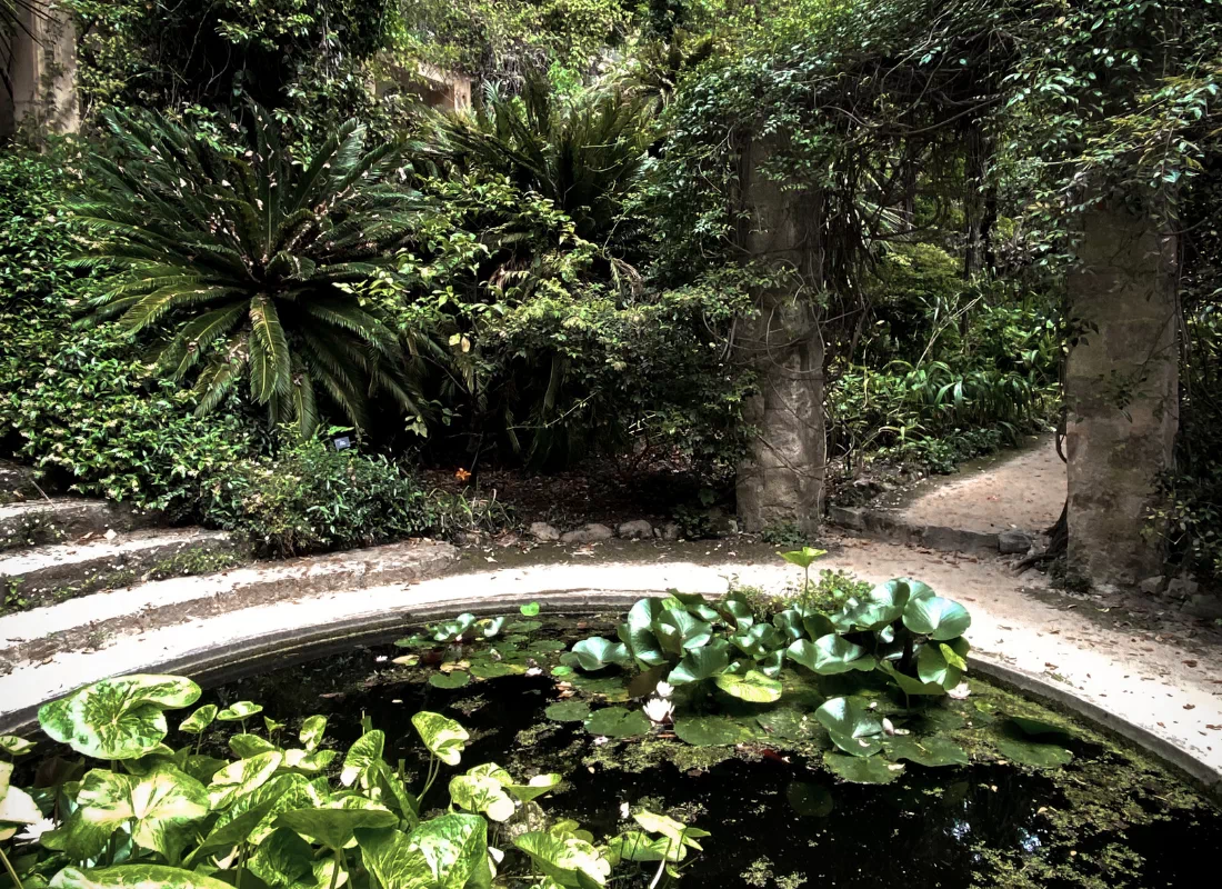 Jardin verdoyant avec bassin entouré de végétation