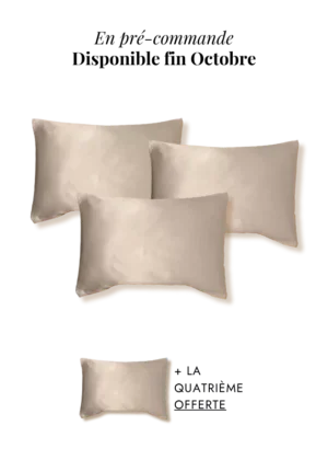 Taie en soie taupe rectangle preco