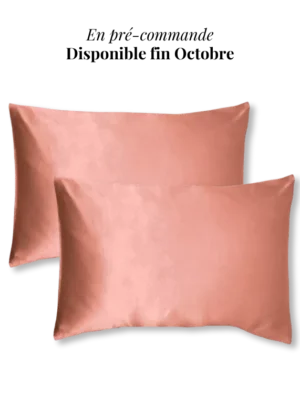 lot de 2 taie oreiller soie 50x70 terracottan preco