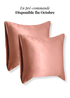 lot de 2 taie oreiller soie 65x65 terracotta preco