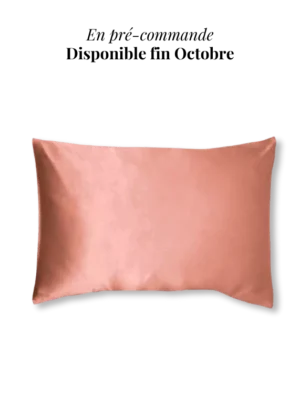 taie oreiller soie 50x70 terracotta preco