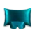 Bleu Canard