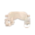 Champagne