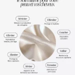 Illustration des protéines et des 18 acides aminés présents dans la soie de mûrier, avec un tissu de soie et leurs propriétés présentées autour.