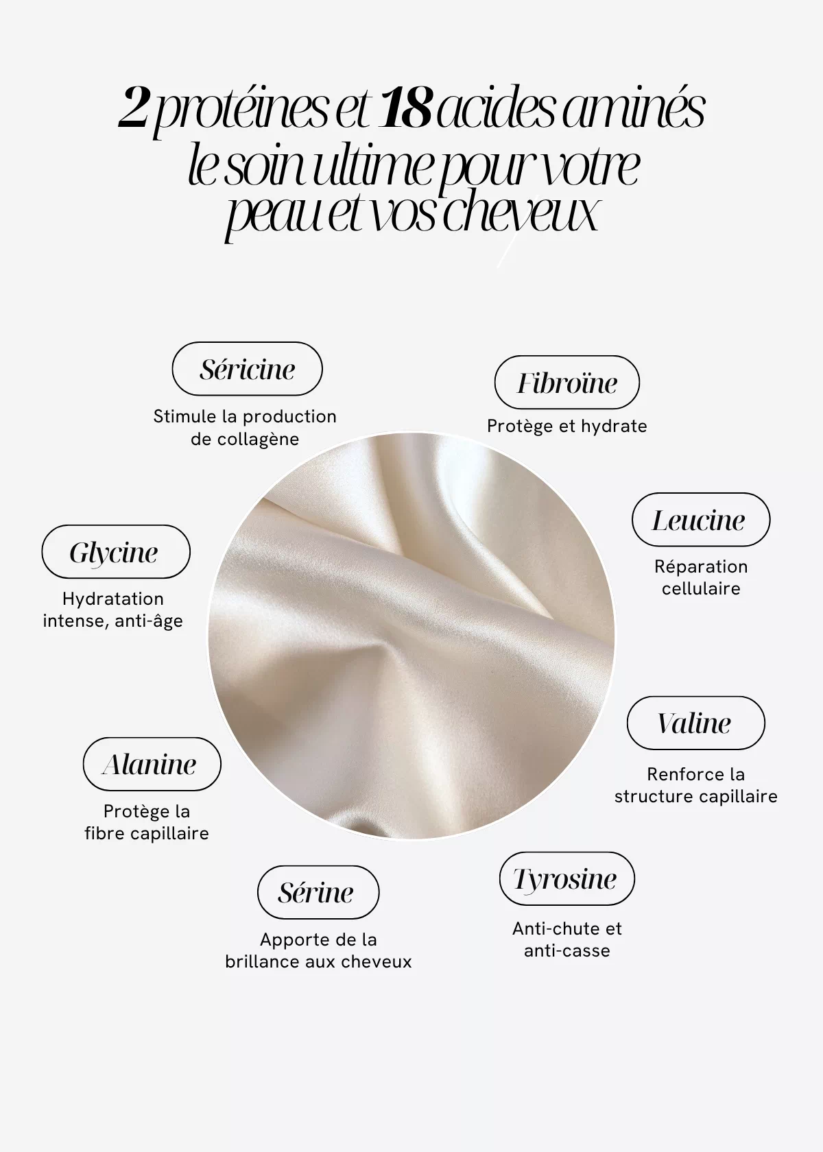 Illustration des protéines et des 18 acides aminés présents dans la soie de mûrier, avec un tissu de soie et leurs propriétés présentées autour.